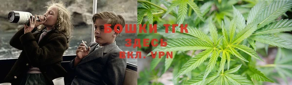 индика Всеволожск