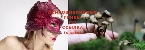 сатива Майский