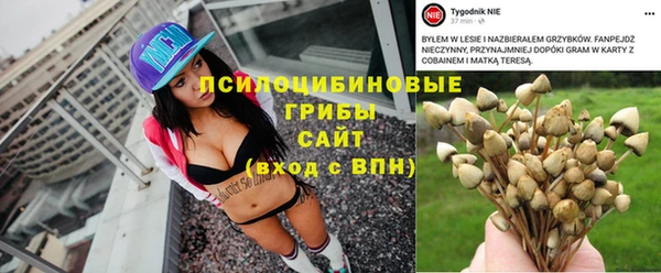 сатива Майский
