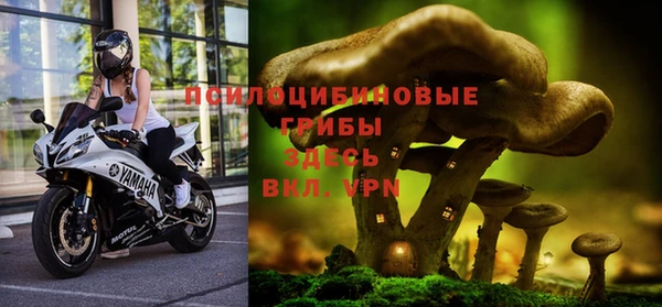 СК Магас