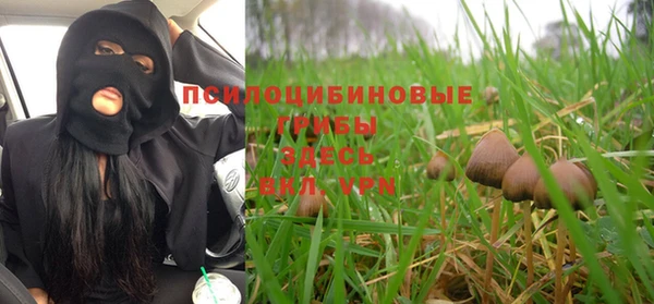 СК Магас
