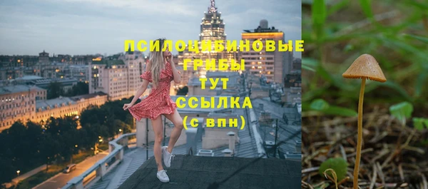 СК Магас