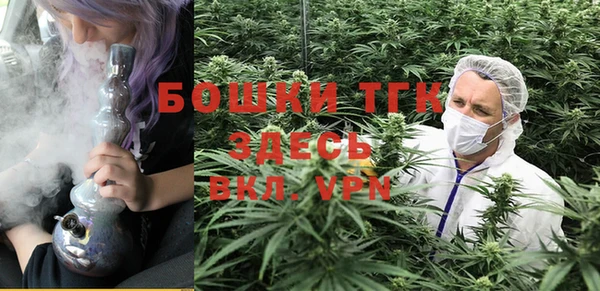 сатива Майский