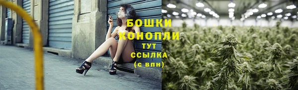сатива Майский