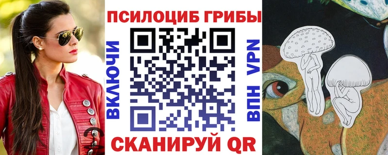 где продают наркотики  MEGA   Галлюциногенные грибы прущие грибы  Моршанск 